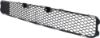 Picture of Bumper Grille