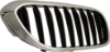 Picture of Grille Assembly