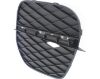 Picture of Bumper Grille