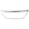 Picture of Grille Trim
