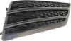 Picture of Bumper Grille