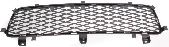 Picture of Bumper Grille