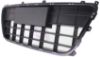 Picture of Bumper Grille