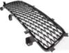 Picture of Bumper Grille