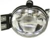 Picture of Fog Light