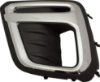 Picture of Fog Light Trim
