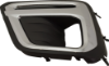 Picture of Fog Light Trim