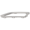 Picture of Fog Light Trim