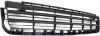 Picture of Bumper Grille