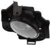 Picture of Fog Light