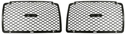 Picture of Bumper Grille
