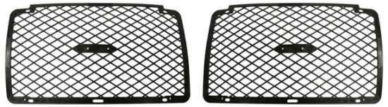 Picture of Bumper Grille