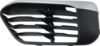 Picture of Bumper Grille