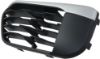 Picture of Bumper Grille