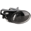 Picture of Fog Light