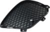 Picture of Bumper Grille