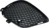 Picture of Bumper Grille
