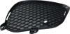 Picture of Bumper Grille