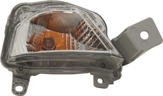 Picture of Turn Signal Light