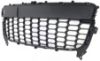 Picture of Bumper Grille