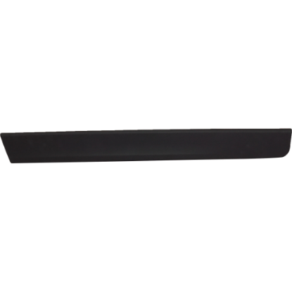 Picture of Door Molding and Beltlines