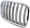 Picture of Grille Assembly
