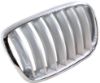 Picture of Grille Assembly