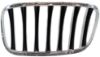 Picture of Grille Assembly