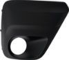 Picture of Fog Light Trim