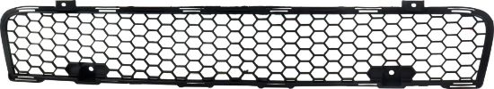 Picture of Bumper Grille