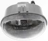 Picture of Fog Light
