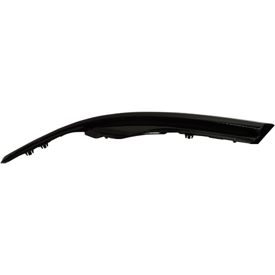 Picture of Headlight Trim