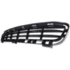 Picture of Bumper Grille