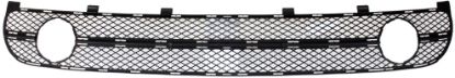 Picture of Bumper Grille