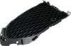 Picture of Bumper Grille