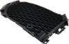 Picture of Bumper Grille