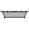 Picture of Bumper Grille