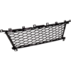 Picture of Bumper Grille