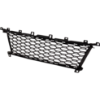 Picture of Bumper Grille