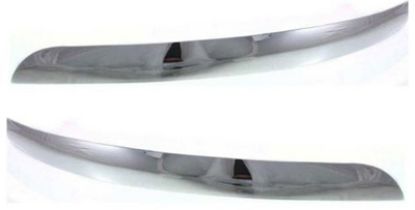 Picture of Bumper Trim