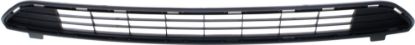 Picture of Bumper Grille
