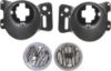 Picture of Fog Light