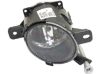 Picture of Fog Light