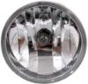 Picture of Fog Light