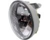 Picture of Fog Light