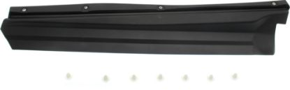 Picture of Door Molding and Beltlines