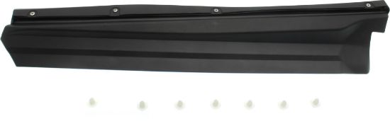 Picture of Door Molding and Beltlines