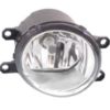 Picture of Fog Light