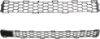Picture of Bumper Grille