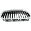 Picture of Grille Assembly